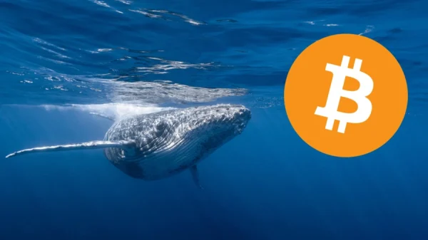 Uralter Bitcoin-Wal bewegt $60M nach 12 Jahren!