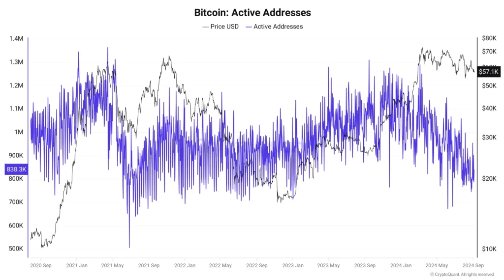 Aktive-Bitcoin-Adressen