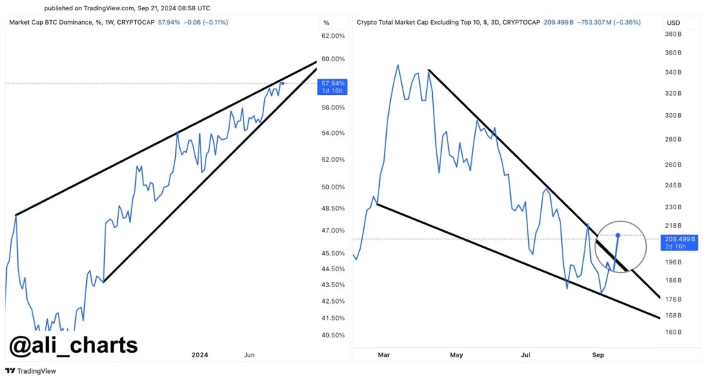 Steigender-Trend-auf-den-Altcoin-Märkten