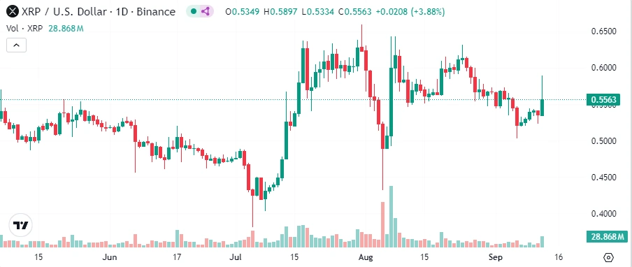 XRP-um-8%-gestiegen