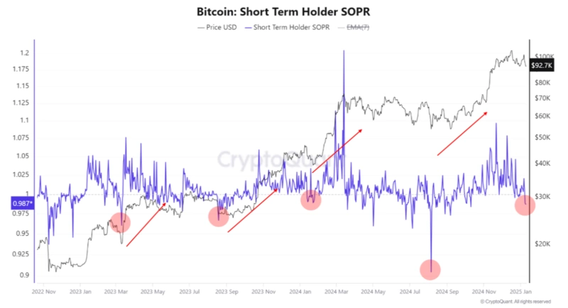 Bitcoin-Inhaber mit kurzfristigem Besitz SOPR-Diagramm mit Trends
